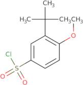 3-tert-Butyl-4-methoxybenzene-1-sulfonyl chloride