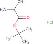 DL-alanine tert-butyl ester hydrochloride