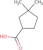 3,3-Dimethylcyclopentane-1-carboxylic acid