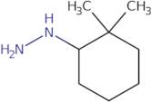 (2,2-Dimethylcyclohexyl)hydrazine