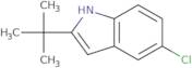 2-tert-Butyl-5-chloro-1H-indole