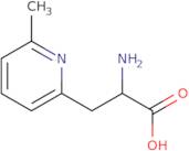 2-Amino-3-(6-methylpyridin-2-yl)propanoic acid