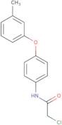 2-Chloro-N-[4-(3-methylphenoxy)phenyl]acetamide