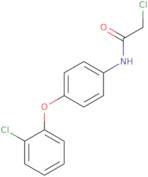 2-Chloro-N-[4-(2-chlorophenoxy)phenyl]acetamide