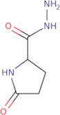 5-Oxopyrrolidine-2-carbohydrazide