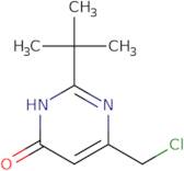 2-(tert-Butyl)-6-(chloromethyl)pyrimidin-4-ol