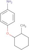 4-[(2-Methylcyclohexyl)oxy]aniline