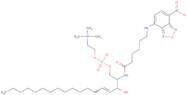 c6 NBD-sphingosylphosphorylcholine