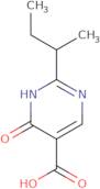 2-(Butan-2-yl)-6-oxo-1,6-dihydropyrimidine-5-carboxylic acid