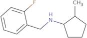 N-[(2-Fluorophenyl)methyl]-2-methylcyclopentan-1-amine