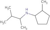 2-Methyl-N-(3-methylbutan-2-yl)cyclopentan-1-amine