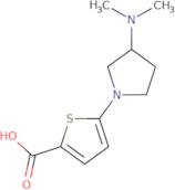 5-[3-(Dimethylamino)pyrrolidin-1-yl]thiophene-2-carboxylic acid