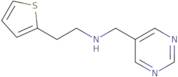 (Pyrimidin-5-ylmethyl)[2-(thiophen-2-yl)ethyl]amine