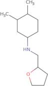 3,4-Dimethyl-N-(oxolan-2-ylmethyl)cyclohexan-1-amine