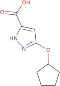 5-(Cyclopentyloxy)-1H-pyrazole-3-carboxylic acid