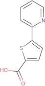 5-(2-Pyridyl)thiophene-2-carboxylic acid