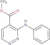 Methyl 3-(phenylamino)pyridazine-4-carboxylate