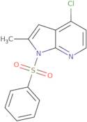 4-Chloro-2-methyl-1-(phenylsulfonyl)-1H-pyrrolo[2,3-b]pyridine