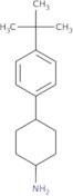 4-(4-tert-Butylphenyl)cyclohexan-1-amine