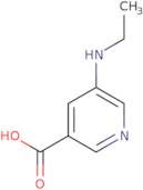 5-(Ethylamino)pyridine-3-carboxylic acid