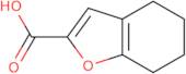 4,5,6,7-Tetrahydrobenzofuran-2-carboxylic acid