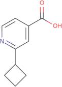 2-Cyclobutylpyridine-4-carboxylic acid