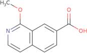 1-Methoxyisoquinoline-7-carboxylic acid