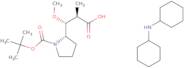 Dicyclohexylamine (2R,3R)-3-((S)-1-(tert-butoxycarbonyl)pyrrolidin-2-yl)-3-methoxy-2-methylpropano…