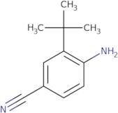 4-Amino-3-(tert-butyl)benzonitrile