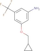 3-(Cyclopropylmethoxy)-5-(trifluoromethyl)aniline