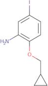 2-(Cyclopropylmethoxy)-5-iodoaniline