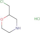 2-chloromethyl-morpholine hcl