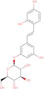 Oxyresveratrol 3-O-D-Glucopyranoside