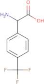 (2R)-2-Amino-2-[4-(trifluoromethyl)phenyl]acetic acid