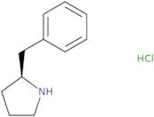(S)-2-Benzylpyrrolidine Hydrochloride