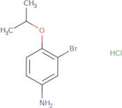 3-Bromo-4-(propan-2-yloxy)aniline hydrochloride