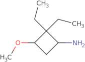 2,2-Diethyl-3-methoxycyclobutan-1-amine