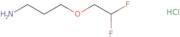 3-(2,2-Difluoroethoxy)propan-1-amine hydrochloride