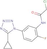 2-Chloro-N-[5-(5-cyclopropyl-1H-1,2,3,4-tetrazol-1-yl)-2-fluorophenyl]acetamide