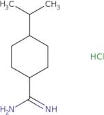 4-(Propan-2-yl)cyclohexane-1-carboximidamide hydrochloride