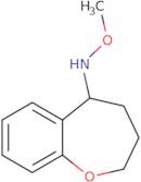 N-Methoxy-2,3,4,5-tetrahydro-1-benzoxepin-5-amine