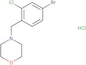 4-[(Bromo-2-chlorophenyl)methyl]morpholine hydrochloride