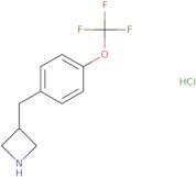 3-{[4-(Trifluoromethoxy)phenyl]methyl}azetidine hydrochloride