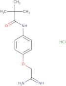 N-[4-(Carbamimidoylmethoxy)phenyl]-2,2-dimethylpropanamide hydrochloride