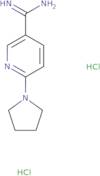 6-(Pyrrolidin-1-yl)pyridine-3-carboximidamide dihydrochloride