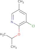 3-Chloro-5-methyl-2-(propan-2-yloxy)pyridine