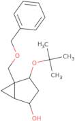 (1S,2R,4S,5R)-4-[(2-Methylpropan-2-yl)oxy]-5-(phenylmethoxymethyl)bicyclo[3.1.0]hexan-2-ol