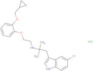 RS 17053 hydrochloride