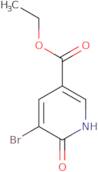 Ethyl 5-bromo-6-hydroxynicotinate