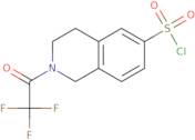 2-(Trifluoroacetyl)-1,2,3,4-tetrahydroisoquinoline-6-sulfonyl chloride